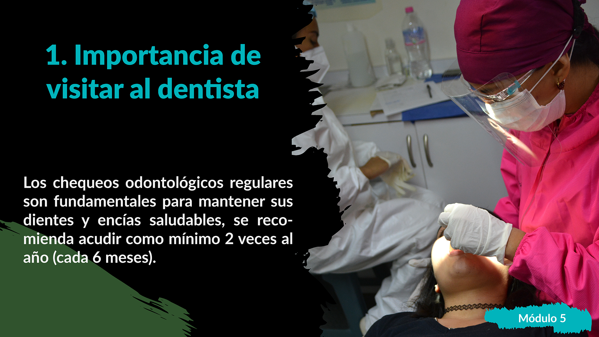 Tema 1 Importancia De Visitar Al Dentista Alumnos Cepidi 4046